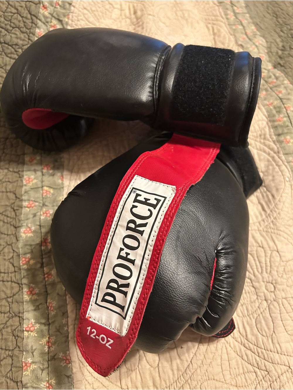 Black and Red Boxing Gloves - 12 oz